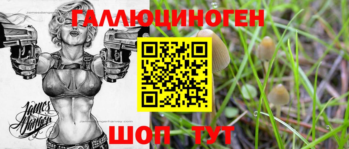 Псилоцибиновые грибы MAGIC MUSHROOMS  Вход с VPN  Крымск 